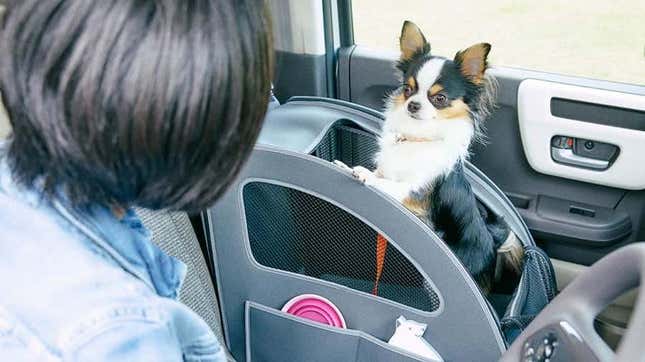 Image for article titled I Need Honda Japan to Start Selling Its Dog Accessories in the U.S.