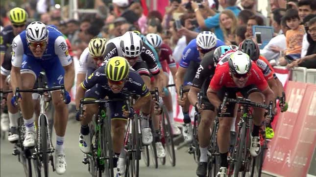 Glory Boy Cyclist Celebrates Too Early, Loses Race