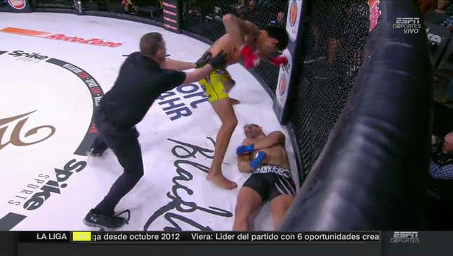Bellator Match Ends With Knocked-Out Dude Taking Several More Punches To Head