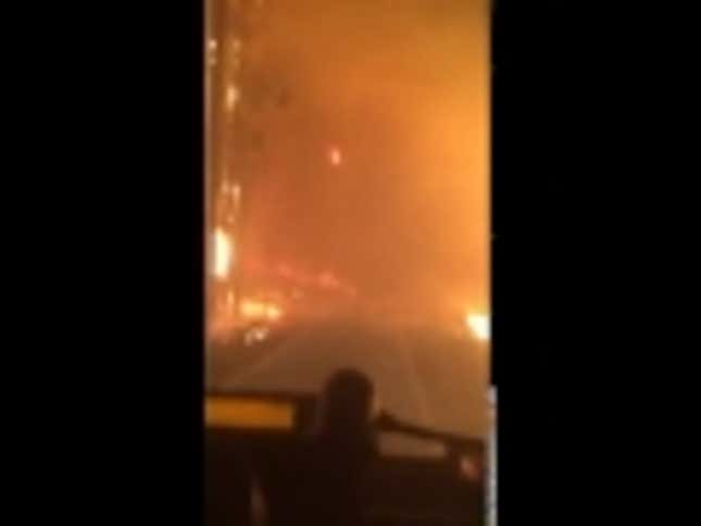 Driving Through A Forest Fire Is Like Driving Through A Vision Of Hell
