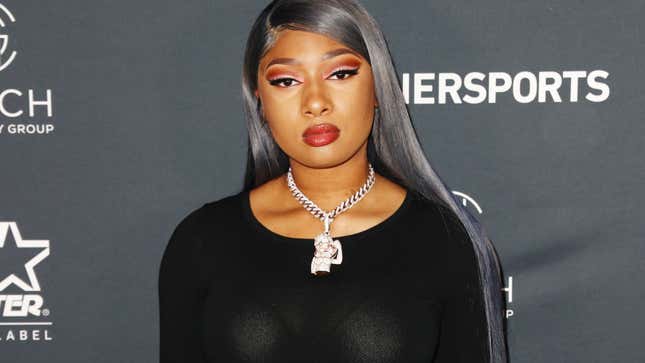 Image for article titled Megan Thee Stallion Gathers Fans for a Day of Community Service