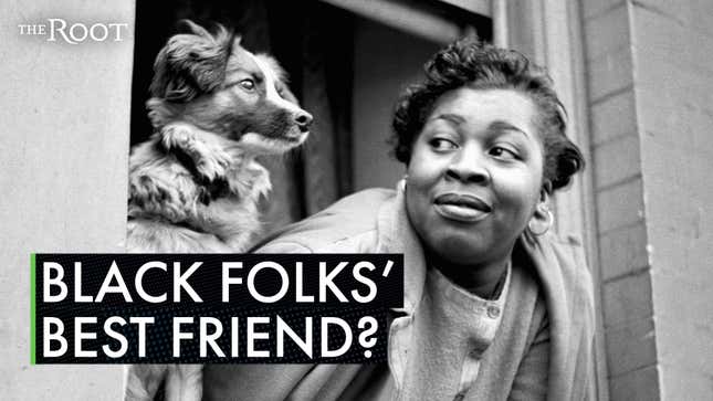 Black Dog Lovers? The Complex Relationship Between Black folks and Man’s Best Friend