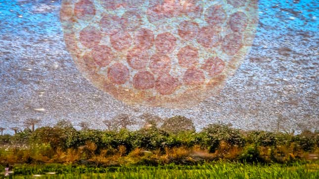 Image for article titled What is both an Old Testament plague and a pizza topping?