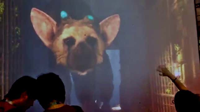 We're Live At The PlayStation Experience With <i>The Last Guardian</i>'s Man-Eating Eagle