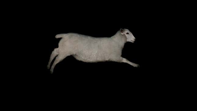 Image for article titled Last Call: What helps you sleep?