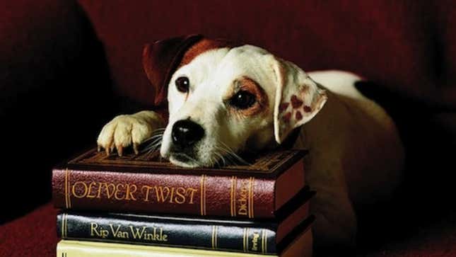 Image for article titled Classic Books I Only Care About Because a Jack Russell Terrier Told Me To