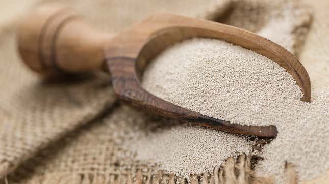 Image for article titled Can’t find yeast? Here’s where to look