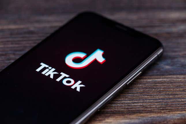 Image for article titled TikTok Pledges Over $375 Million to COVID-19 Relief: &#39;Together, We Will Persevere Through This Time of Crisis&#39;