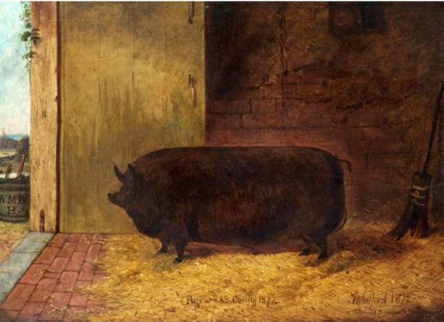Image for article titled Look at This Absolute Unit Every Damn Day