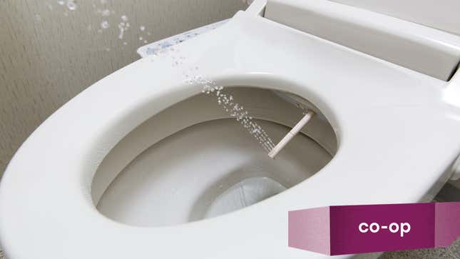 Image for article titled What&#39;s the Best Bidet?