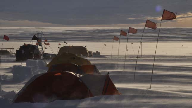 Researchers Capture First Video From Under Antarctica's Most Endangered ...