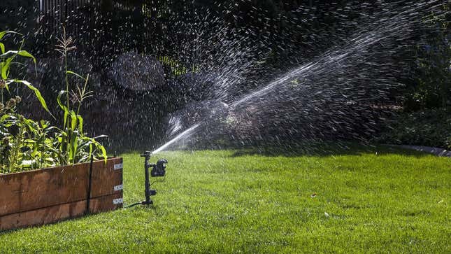 Orbit Yard Enforcer Motion-Activated Sprinkler | $70 | Amazon