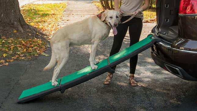 Pet Gear Travel Lite Ramp | $88 | Amazon
