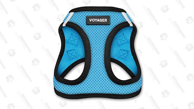 For small dogs, the Voyage Step-In Air Dog Harness is easy to get on and provides secure control and comfort for dogs between 10 to 20 pounds.