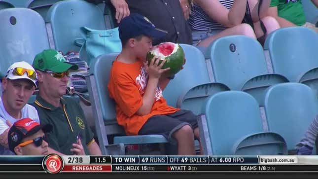 Australian Kid Takes On Entire Watermelon At Cricket Match, Loses