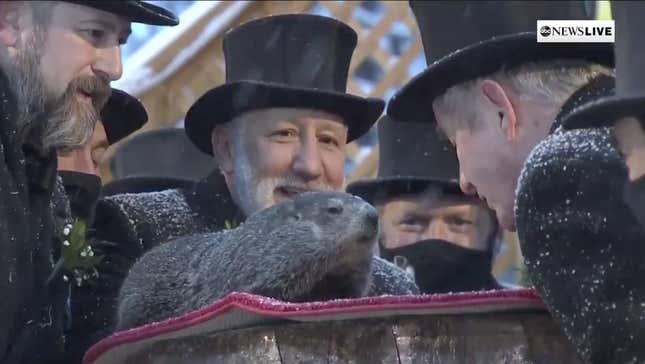 Image for article titled The Groundhog Is Clueless But I Respect Him Anyway