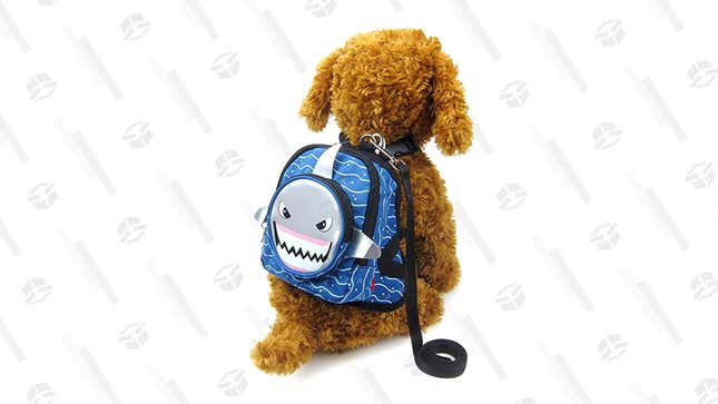 For those who are interested in fashion and cute animal products, the Alfie Pet Oliga Backpack Harness is an adorable harness that doubles as a backpack.