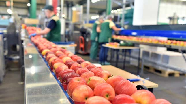 Image for article titled Suppliers scramble to get food out of the plant and into the grocery store