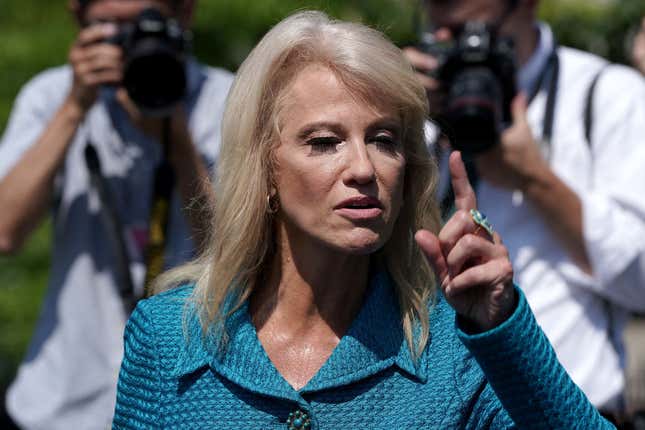 Image for article titled Kellyanne Conway Goes on Unhinged Rant and Asks Reporter ‘What’s Your Ethnicity?’