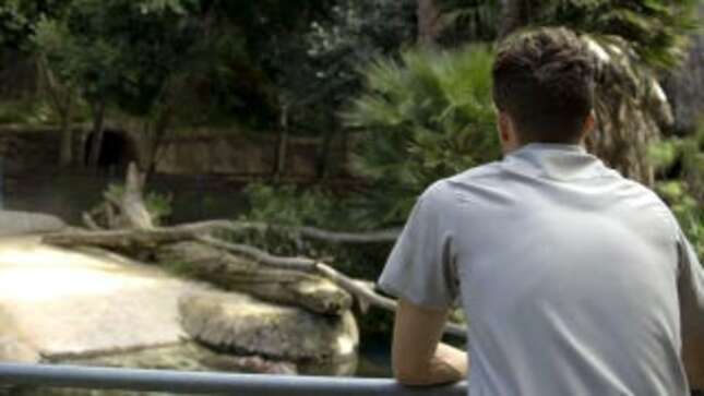 Here, Presented Without Much Comment, Is a Video of a Baby Hippo Playing With Her Mom