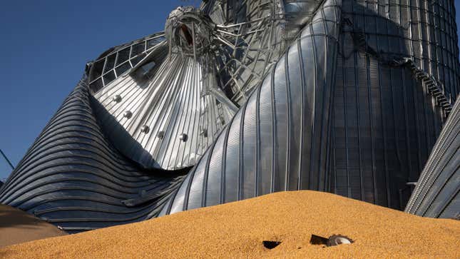 Corn sits near damaged grain bins at the Heartland Co-Op grain elevator on August 11, 2020 in Luther, Iowa.