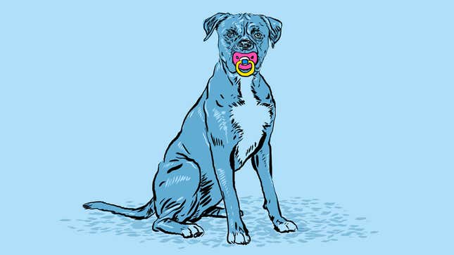 Image for article titled Your Dog Is Not Your Child