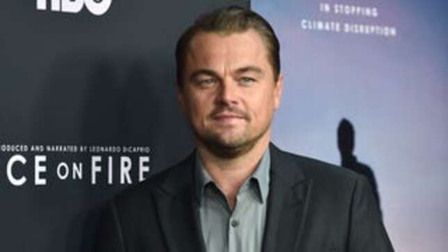 Poor Leonardo DiCaprio, Felled by a Volleyball