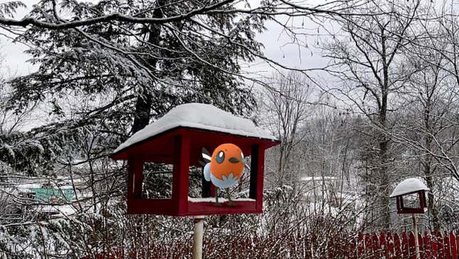 Image for article titled How Pokémon GO Turned Me Into a Birder