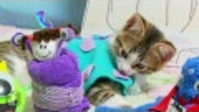 <i>Monsters Inc.</i> Is Even Cuter With Kittens