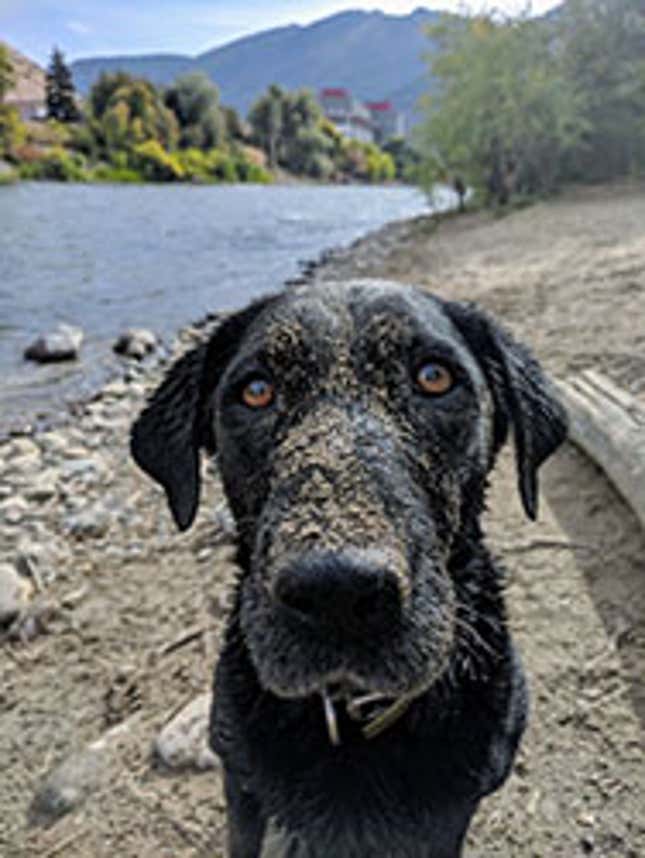 Camas, a very good girl