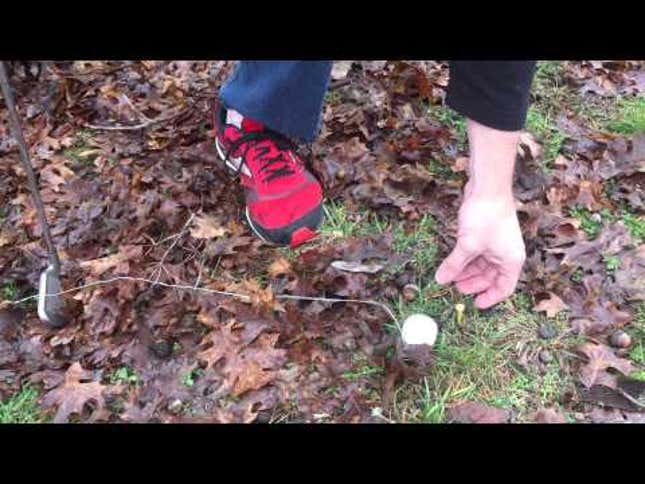 Dad Removes Son's Tooth With A Golf Ball And Some String