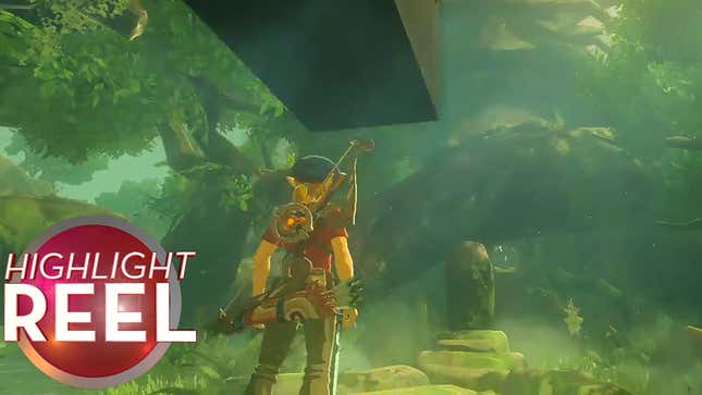 Link Didn't See That Bookcase Coming
