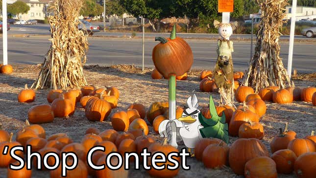 Image for article titled &#39;Shop Contest: It&#39;s Pumpkin Season