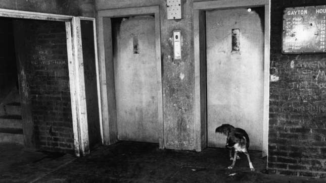 16th June 1978: The lift entrance to flats at Gayton House on Lincoln Estate, Bow, east London.