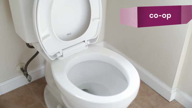 Image for article titled What&#39;s the Best Toilet Brand? Yes, Seriously.