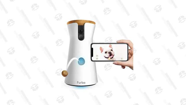 

Furbo Dog Camera | $134 | Chewy 