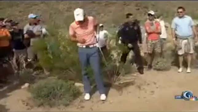 Rory McIlroy's Errant Shot Knocks Fan Into Cactus