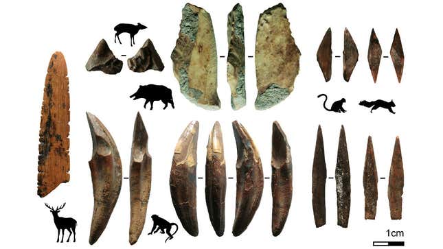 Bone projectile points found at Fa-Hien Lena, and associated prey animals. 