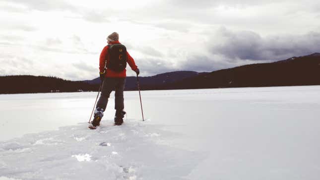 Image for article titled March Into Winter With a Great Pair of Snowshoes