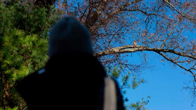A different bird watcher, likely safe from harassment through the power of compassionate justice