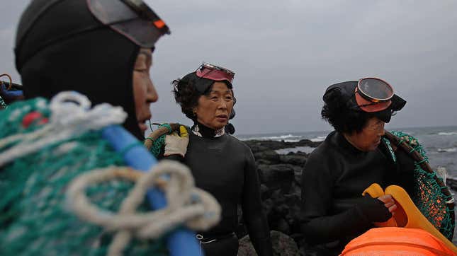 haenyo women ready to dive