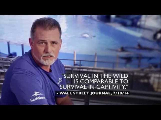 SeaWorld Is Currently Being Pummeled By Lawsuits
