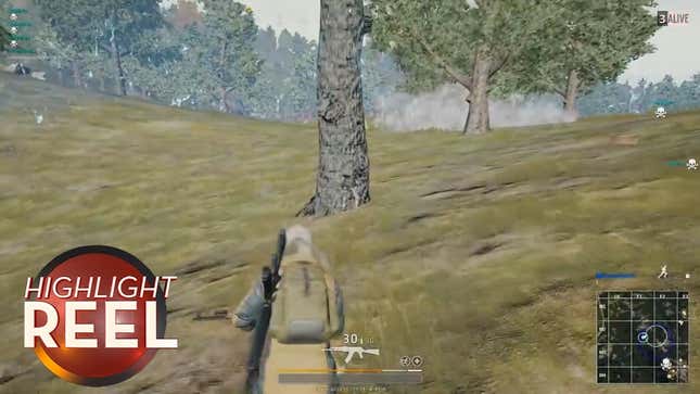 <i>Battlegrounds</i> Player Has Mastered The Art Of Camouflage<em></em>