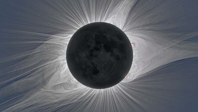 An image of the Sun’s corona.