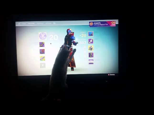 Cat Doesn't Know Why It Keeps Playing <em>Destiny</em> Either