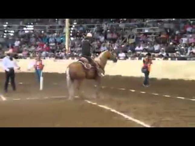 People Are Out There Drifting Horses