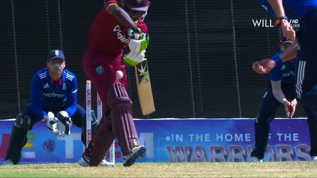 Cricket Man Takes Ball Right To The Googly