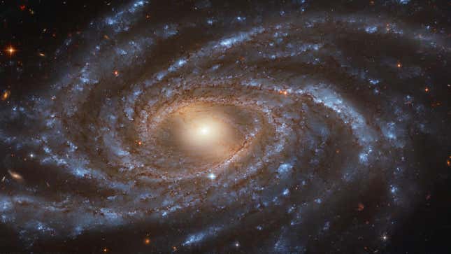 Spiral galaxy NGC 2336.