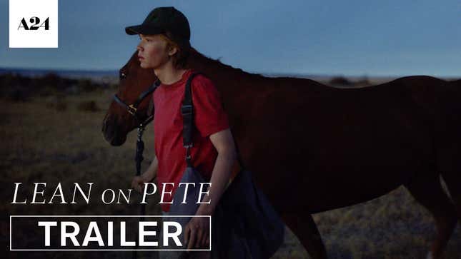 Chloë Sevigny on the Whiteness of Film, Sensitive Horses, and Why It's Hard for Her to Lie