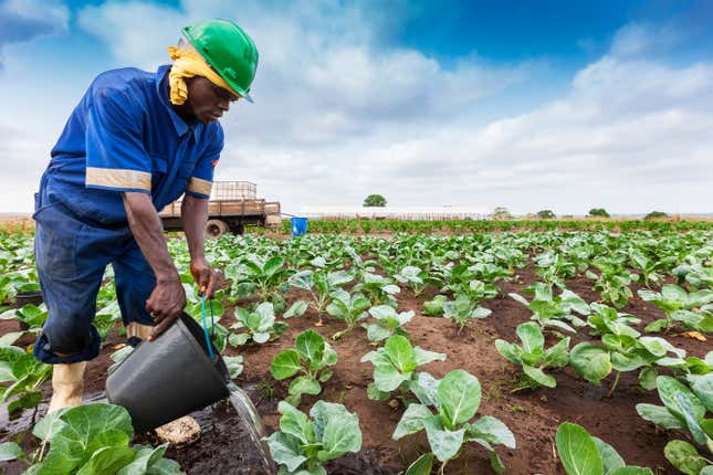 Image for article titled White Farmers Sue Federal Government Because Black People Truly Can’t Have Anything